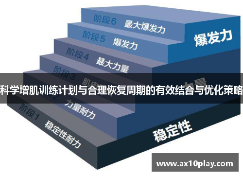 科学增肌训练计划与合理恢复周期的有效结合与优化策略
